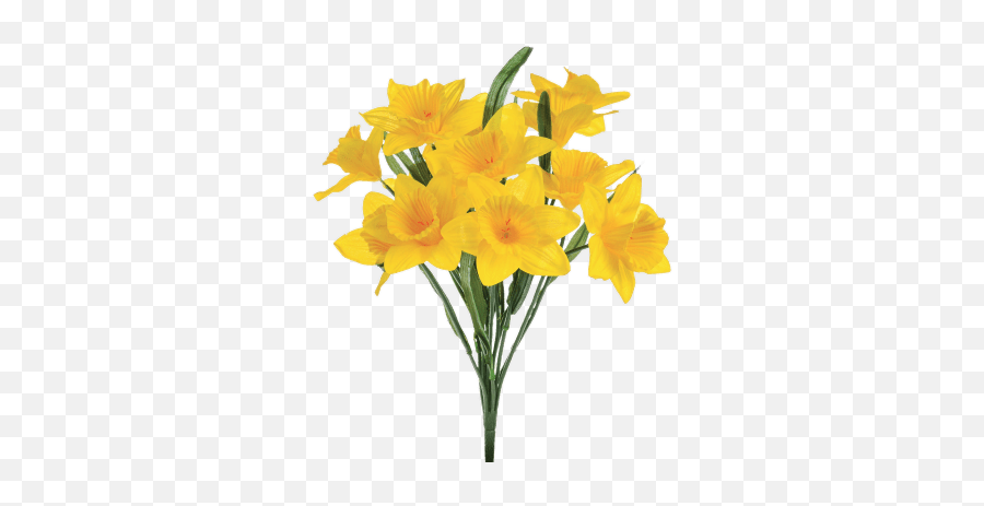 Daffodil Transparent Png - Stickpng Emoji,Daffodil Emoticon Facebook