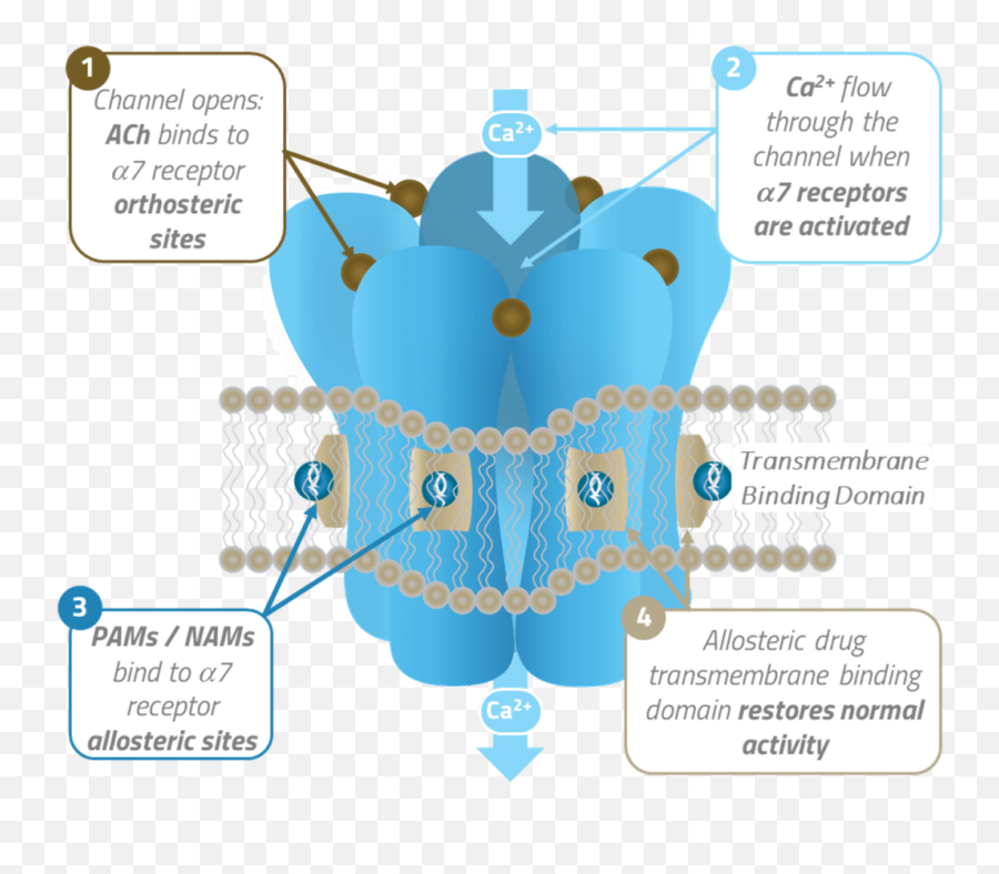 Bnc210 Bionomics U2013 Clinical - Stage Biopharmaceutical Company Emoji,Behind Every Negative Emotion There Is Unmet Desire