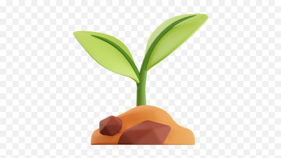 Plant 3d Illustrations Designs Images Vectors Hd Graphics Emoji,Seedling Emoji Hd