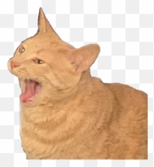 Cat Banana Screaming Sticker - Banana Matt Watson Emoji,Screaming Cat Emoji