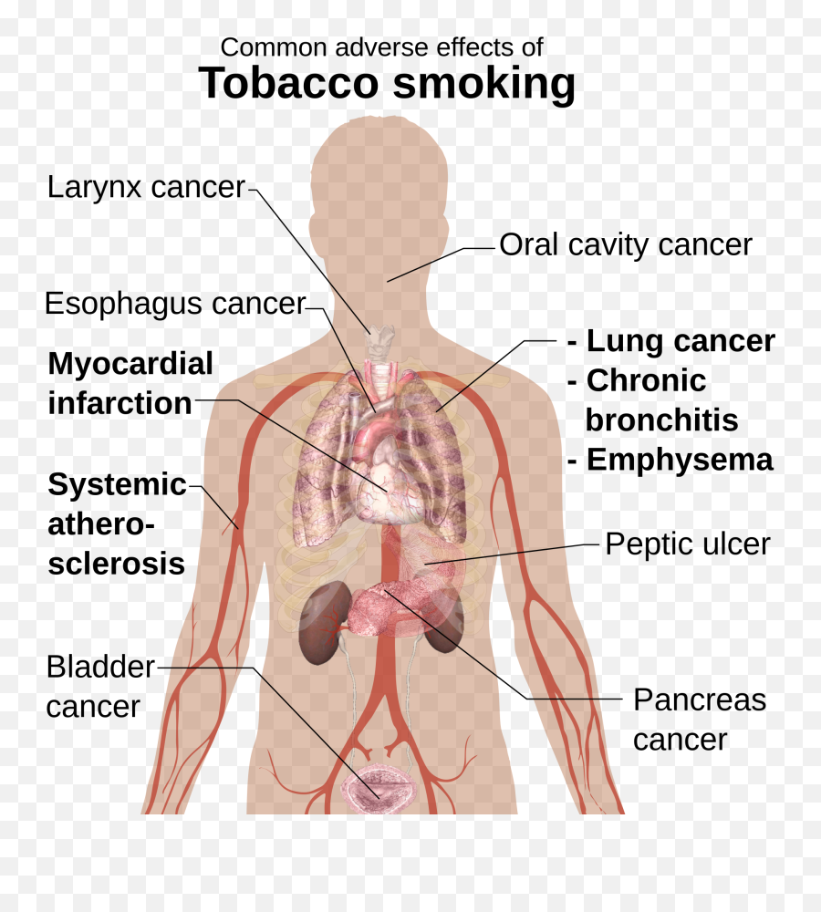 2015 Siowfa15 Science In Our World Certainty And - Smoking Effects Emoji,Teenage Emotions Wiki