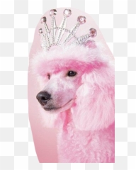 Princess Princessdog Cute Sticker - Girly Emoji,Pink Poodle Emoji