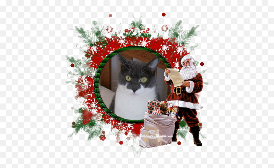 Merry Christmas From Me And My Selfie Stunning Keisha - Frames Transparent Christmas Emoji,Photoshop Cat With Emoji For Feet