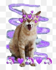 Its Cute Cat Sticker - Girly Emoji,Where Is Gaycat Emoji