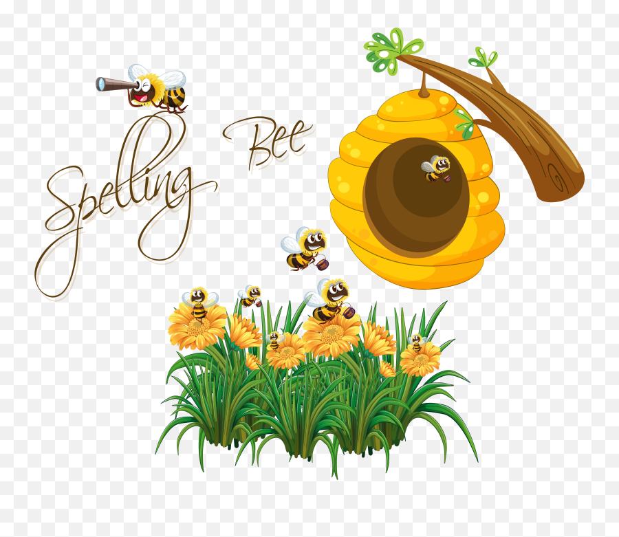 The Advanced Spelling Bee Guide All You Need To Know - Language Emoji,Emotion Words For 11 Year Olds