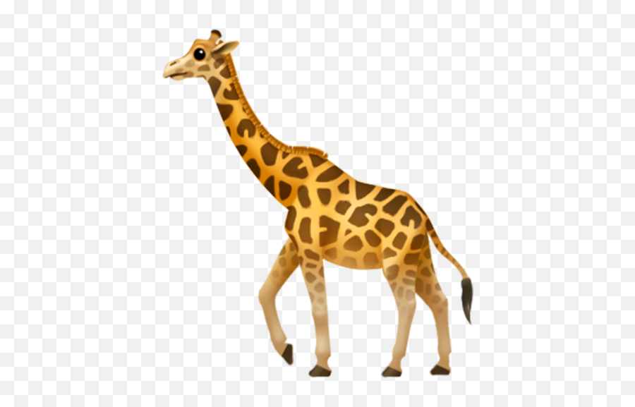 Veja 29 Dos Novos Emojis Que Chegarão Aos Dispositivos Da - Giraffe Emoji Transparent,Emoji Whatsapp Significado