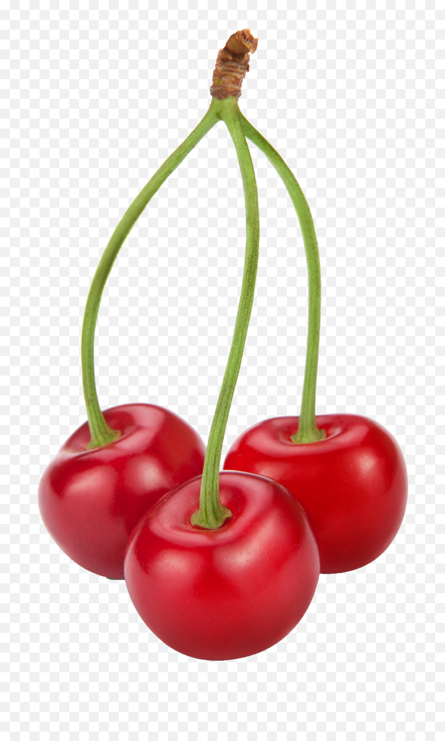 73 Fruity Ideas Clip Art Fruity Funny Fruit - 3 Cherries Png Emoji,Cherry Pie Emoji