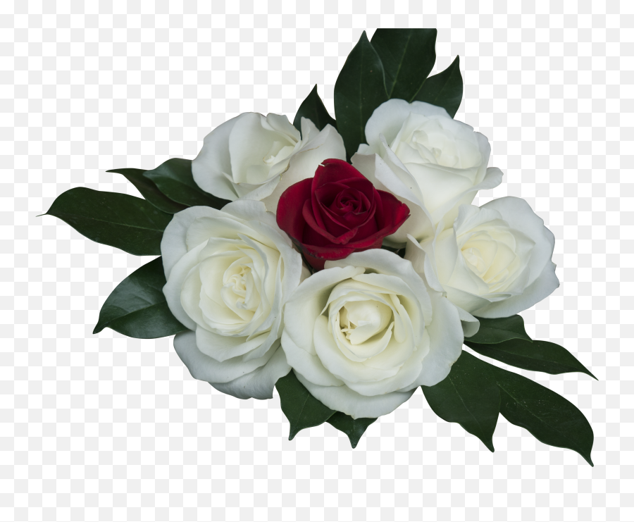 Emotion Roses Pink White - Rosas Brancas Ramos Rosas Emoji,White Emotion