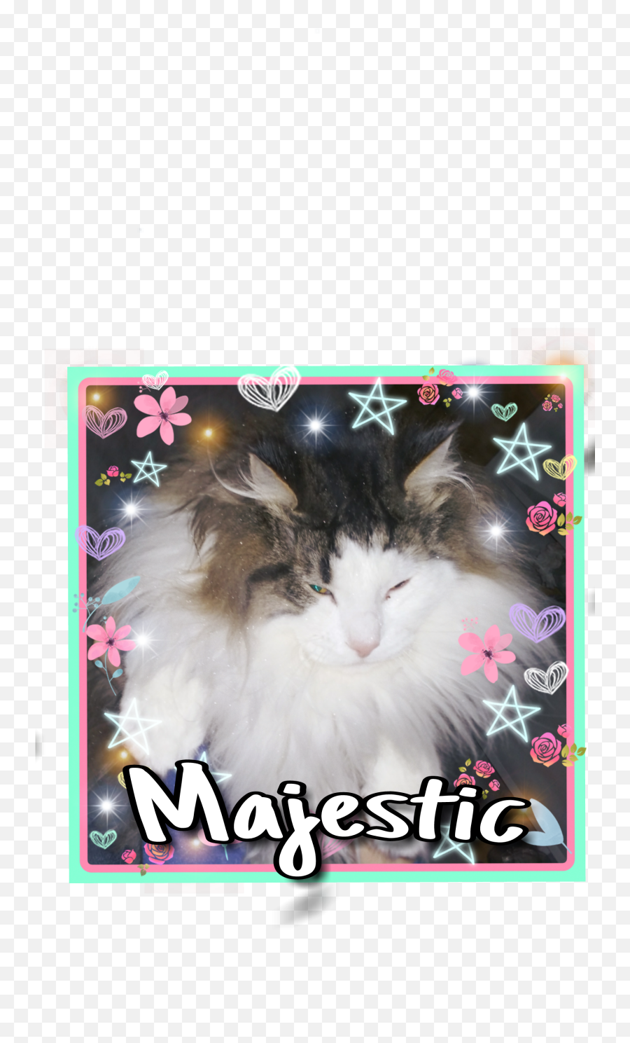 Nichememes 90svibes Majestic Sticker By Flufflsa - Photo Caption Emoji,Majestic Emoji