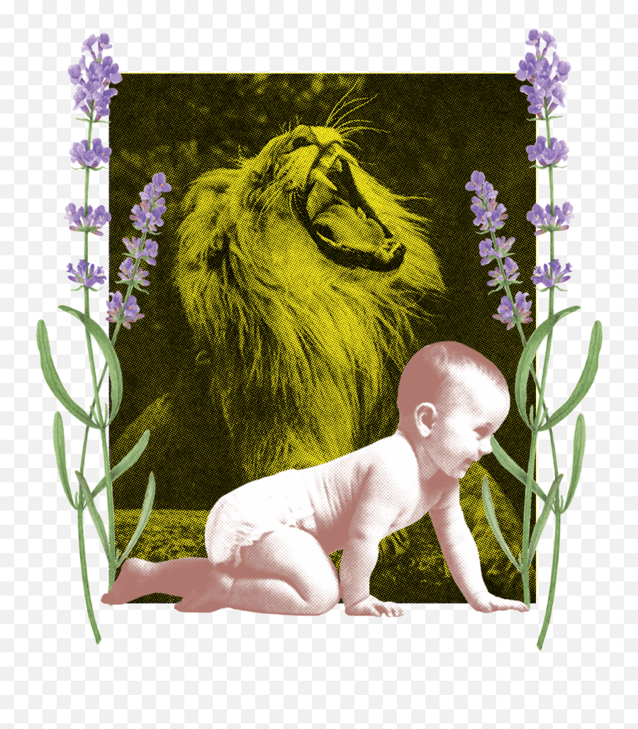 A Loving Quaraspondence Dynasty - Mahakaal Photos Shayri Lion Emoji,Child Different Emotions Gif