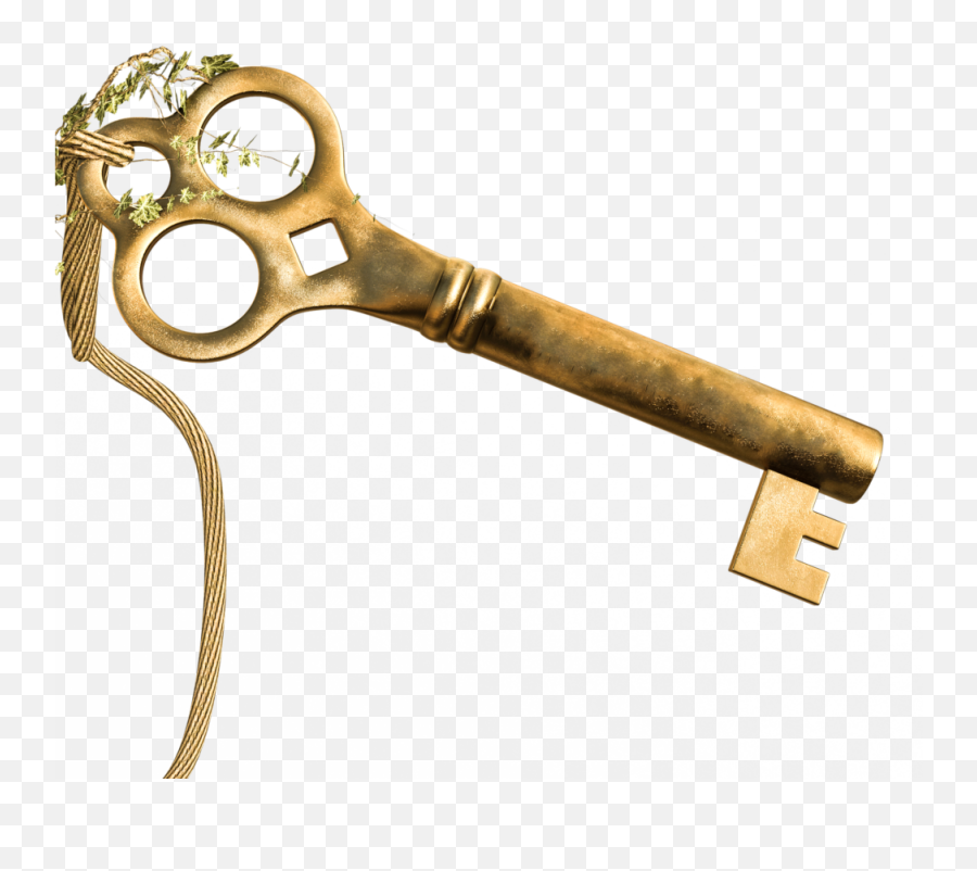 Master Key Experience U2013 Be Great - Gouden Sleutel Png Emoji,Psyche Yoga 4th Emotion Master Key Experience U2013 Be Great - Gouden Sleutel Png Emoji,Psyche Yoga 4th Emotion