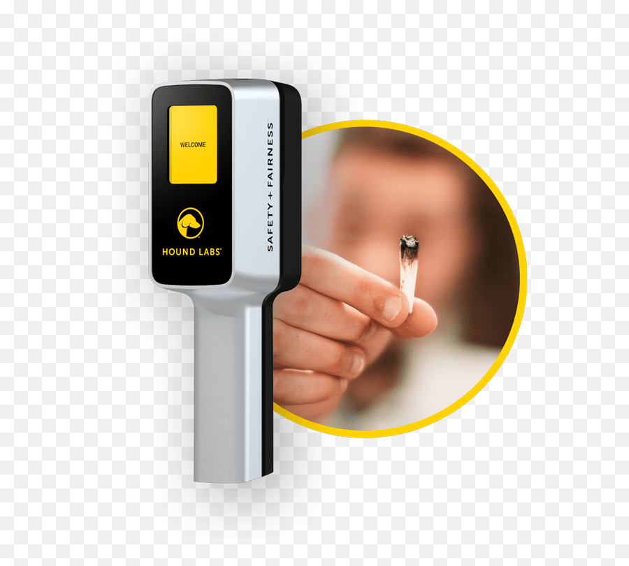Drug Detection Times For Marijuana Depend On The Test - Thermometer Emoji,Marijuana Cigarette Text Emoticon