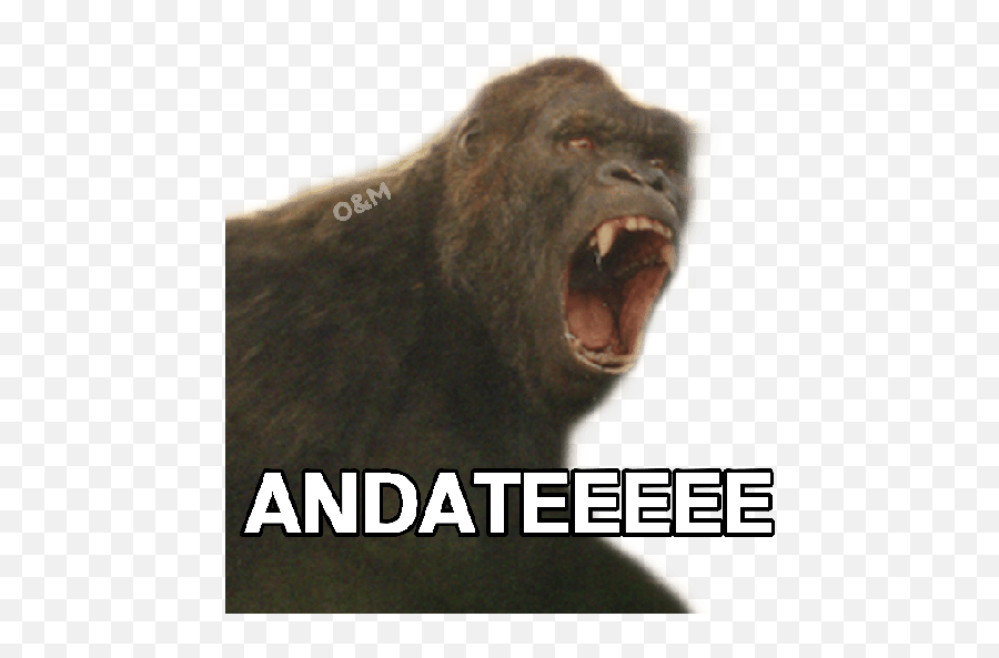 Kong Vs Godzilla - Stickers De Godzilla Vs Kong Para Whatsapp Emoji,Cara De Emojis Para Decoraciones De Clase