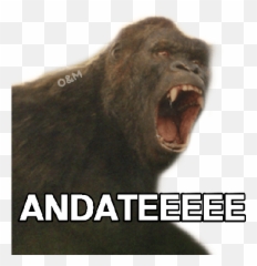 Kong Vs Godzilla - Stickers De Godzilla Vs Kong Para Whatsapp Emoji,Cara De Emojis Para Decoraciones De Clase