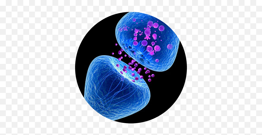 Mental Intelligence - Synapse Hd Emoji,Neurotransmitters And Emotions