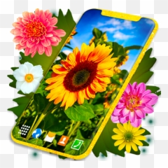 Hd Summer Live Wallpaper Flowers 4k Wallpapers - Apps On Lovely Emoji,Sun Flower Emoji