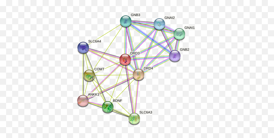 Drd3 Protein Human - String Interaction Network Emoji,Emotional Reactivity Vs Emotion Regulation