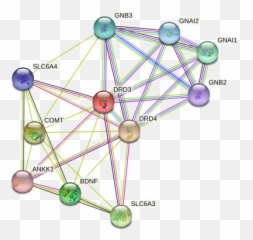 Drd3 Protein Human - String Interaction Network Emoji,Emotional Reactivity Vs Emotion Regulation