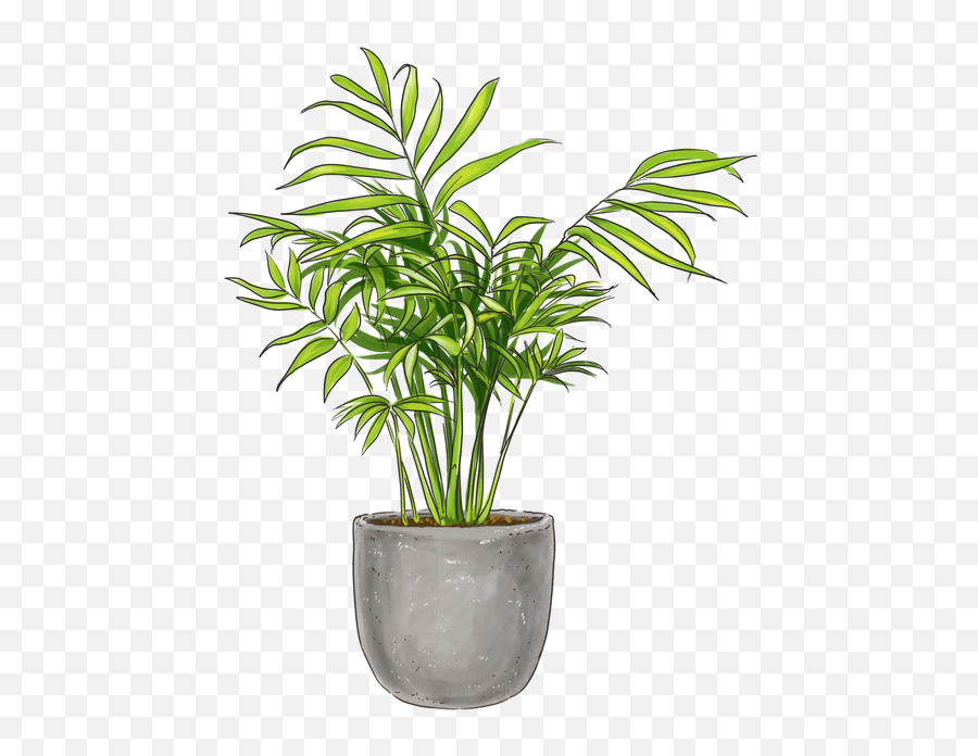 Easy Peasy Plant Collection Pothos Zz Plant Bella Palm Emoji,Green Square Emoji Doesn't Render