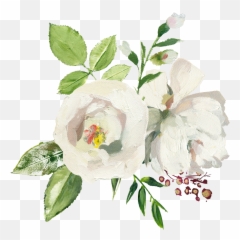 Wholeheartedladycom 2017 - Garden Roses Emoji,Emotion Charger Kayaks