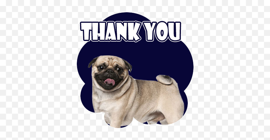 Thank You Puppy Emoji,Pug Emojis