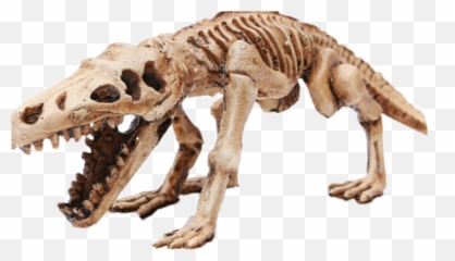 The Most Edited - Fossil Fish Tank Decorations Dinosaurs Skull Emoji,Fossil Emoji
