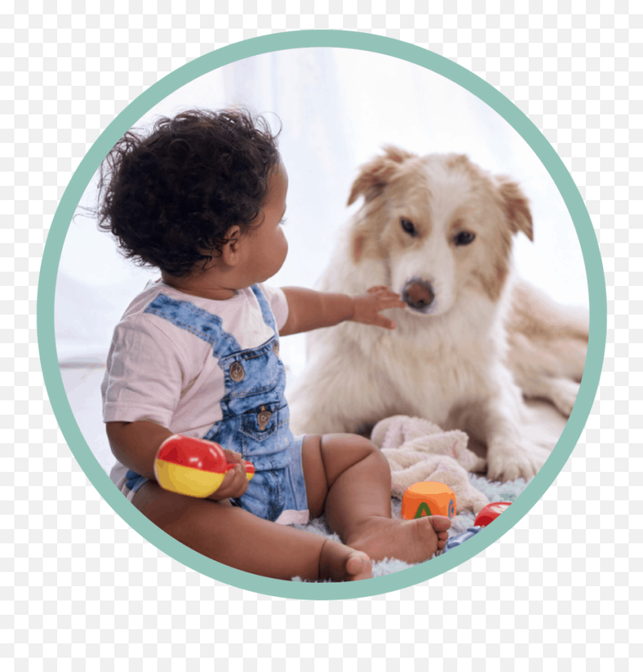 Dogs And Babies - Letu0027s Talk Train With Trust How To Baby Playing On The Floor With Dog Emoji,Baby Faces Emotions
