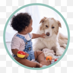 Dogs And Babies - Letu0027s Talk Train With Trust How To Baby Playing On The Floor With Dog Emoji,Baby Faces Emotions