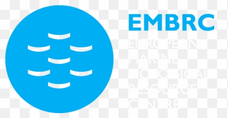 Reusable Blocks Trace - Embrc Emoji,Humbled Emoticon