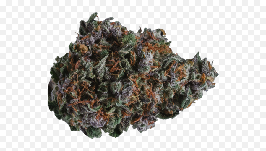 Bud U0026 Cannabis Flower Buy Weed Online Cheebau0027s - Kush Emoji,Erbluhen Emotion 2v2