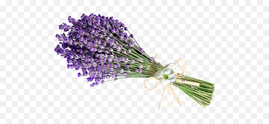 60 Free Lavender Bunch U0026 Lavender Images Emoji,Lavender Purple Emojis