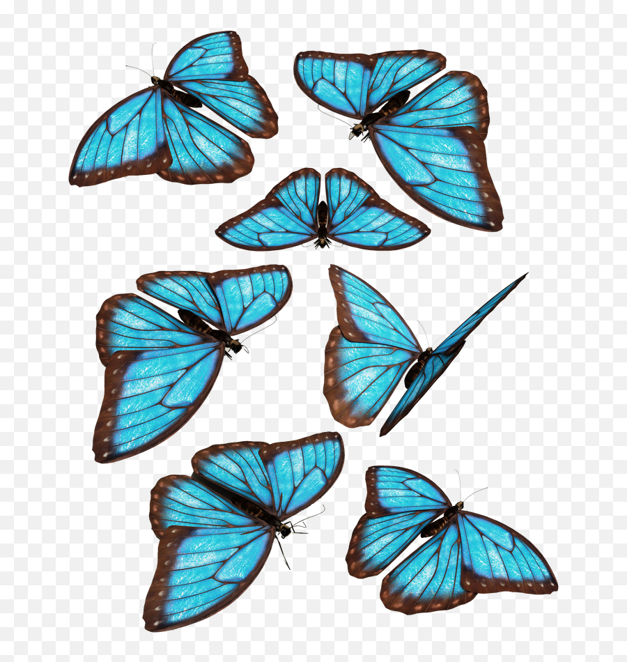 Flying Blue Butterflies Png Download Image Png Arts Emoji,Blue Butterfly Emoji