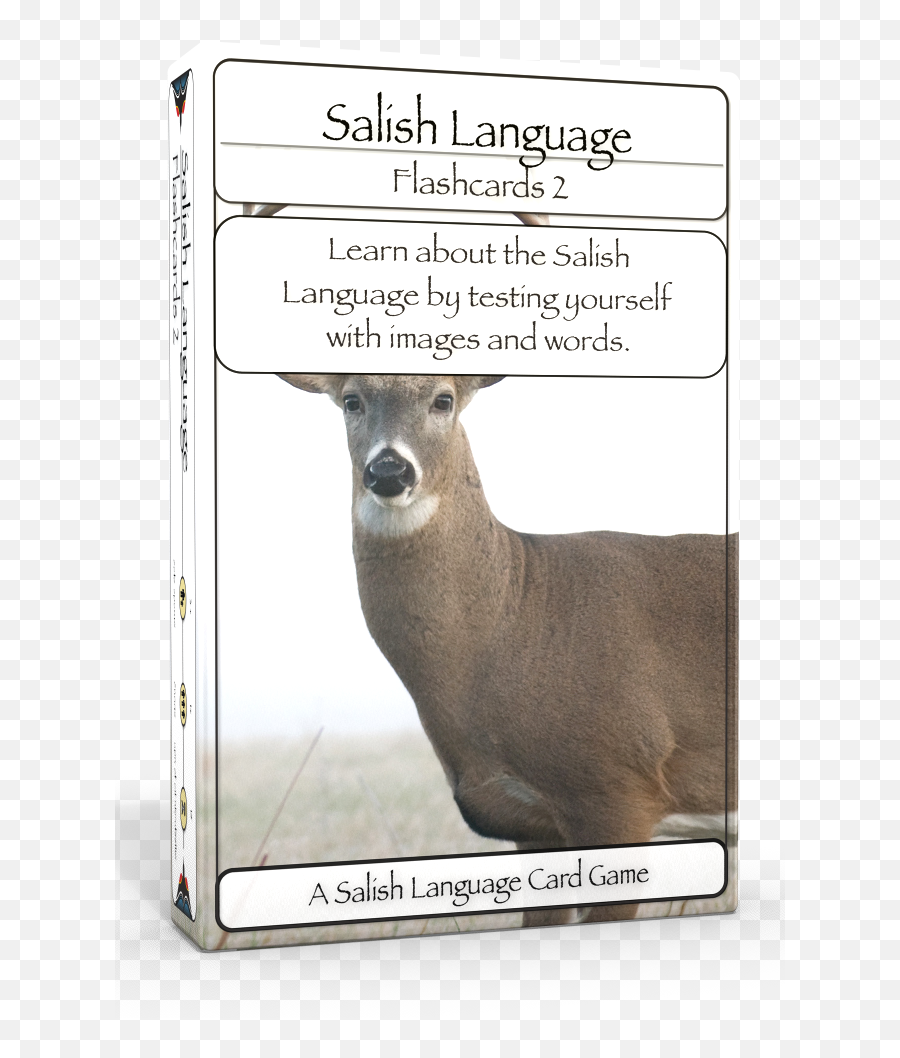 Salish Language Flashcards Level One U2014 Native Teaching Aids Emoji,Emotions Flashcards