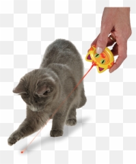 Laser Meme Eyes Png - Cat Toy Emoji,Thinking Emoji Laser Eyes