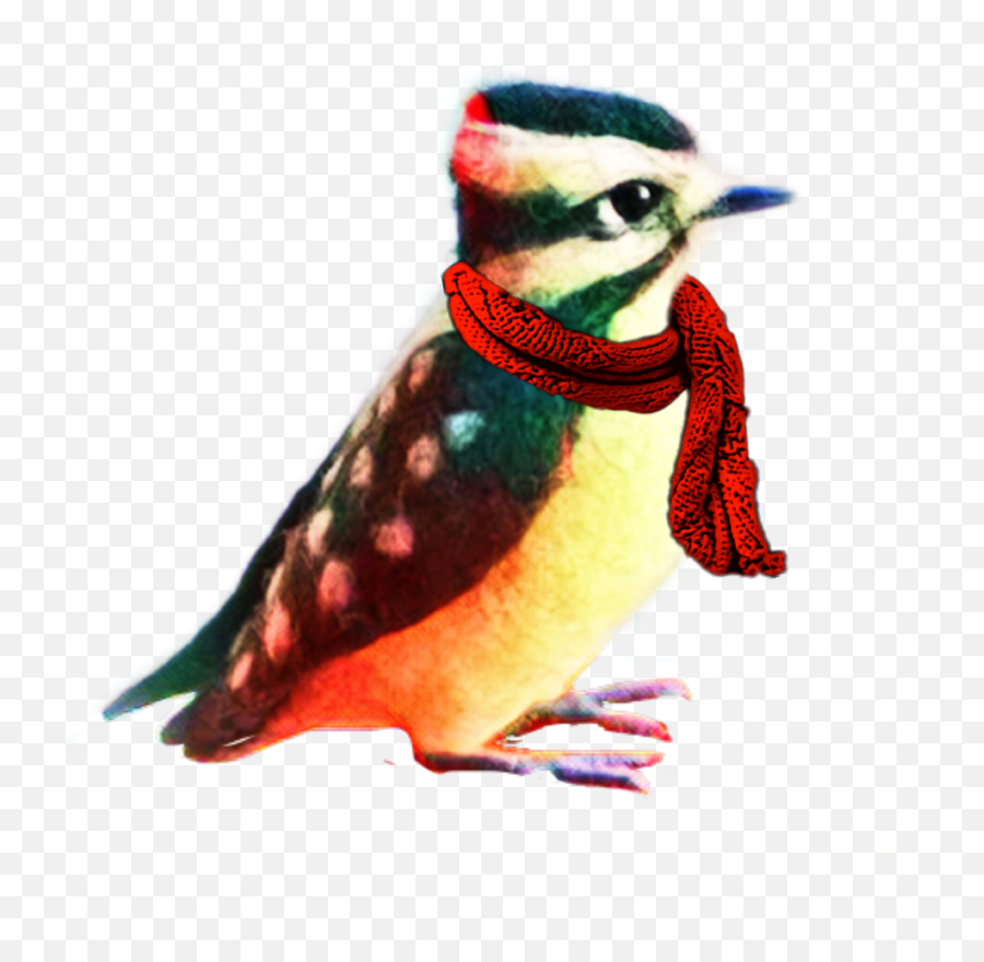 Woodpecker Scarf Cold Bird Sticker - Coraciiformes Emoji,Woodpecker Emoji