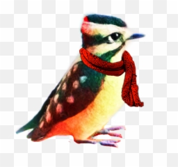 Woodpecker Scarf Cold Bird Sticker - Coraciiformes Emoji,Woodpecker Emoji