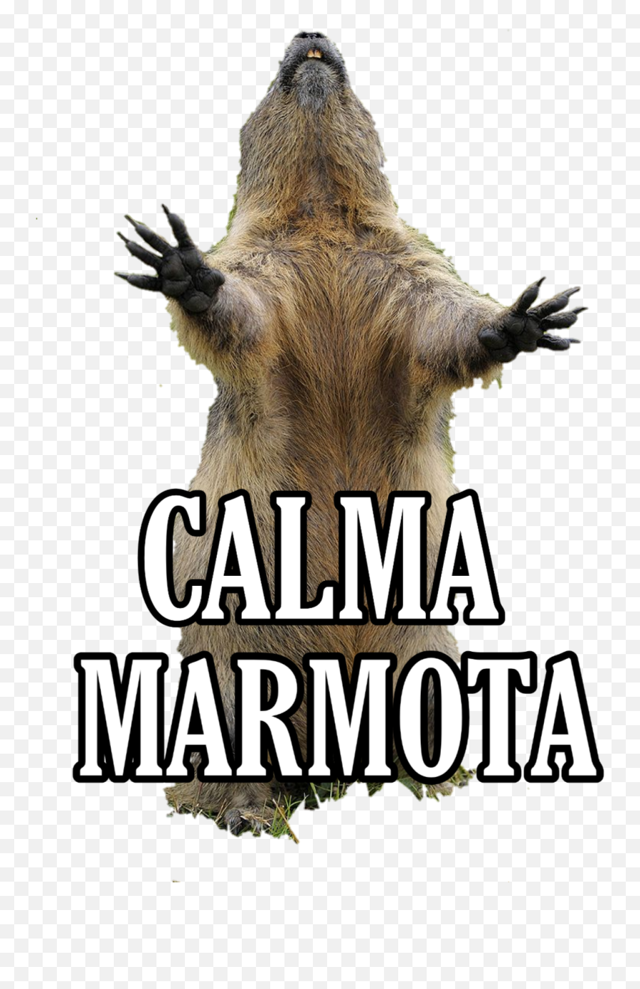 Marmota Whatsapp Sticker Sticker - Photo Caption Emoji,Monito Emoji