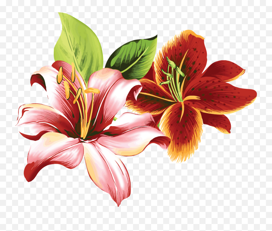 Sledgolr - Lily Flower Color Drawing Emoji,Emoji Cumplea?os