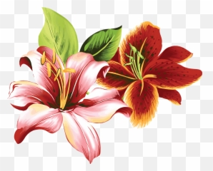 Sledgolr - Lily Flower Color Drawing Emoji,Emoji Cumplea?os