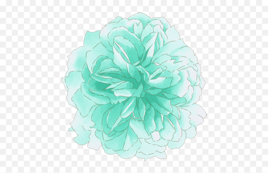 52 Images About Love Emoji - Mint Color Flowers Png,Chrysanthemum Emoji