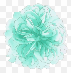 52 Images About Love Emoji - Mint Color Flowers Png,Chrysanthemum Emoji