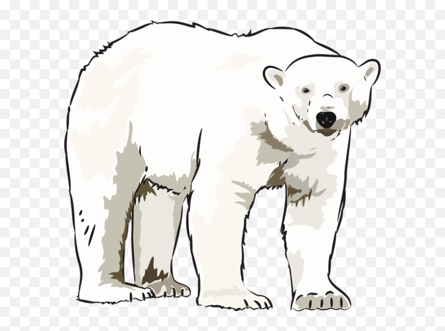 Face Clipart Polar Bear Face Polar - Polar Bear Clipart Emoji,Ice Bear Showing Emotion