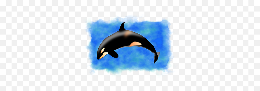 Free Dolphin Mammal Vectors - Common Bottlenose Dolphin Emoji,Dolphins And Emotions