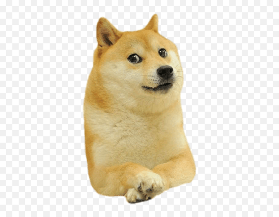 Pin - Transparent Background Doge Png Emoji,Cryong Dog Emoji Heart Meme