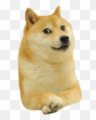 Pin - Transparent Background Doge Png Emoji,Cryong Dog Emoji Heart Meme