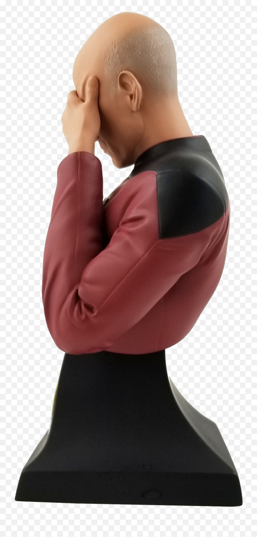 Star Trek Facepalm Png The Next Generation Captain Picard - Captain Picard Facepalm Mini Bust Emoji,Funny Star Trek Emojis