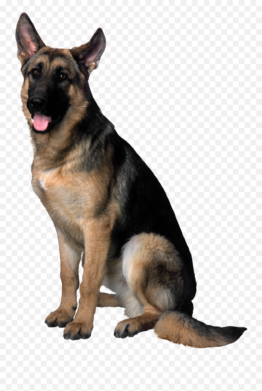 Dog Hd Image Free Png Clipart Png Emoji,Cartoon Sad German Shepherd Emoticon