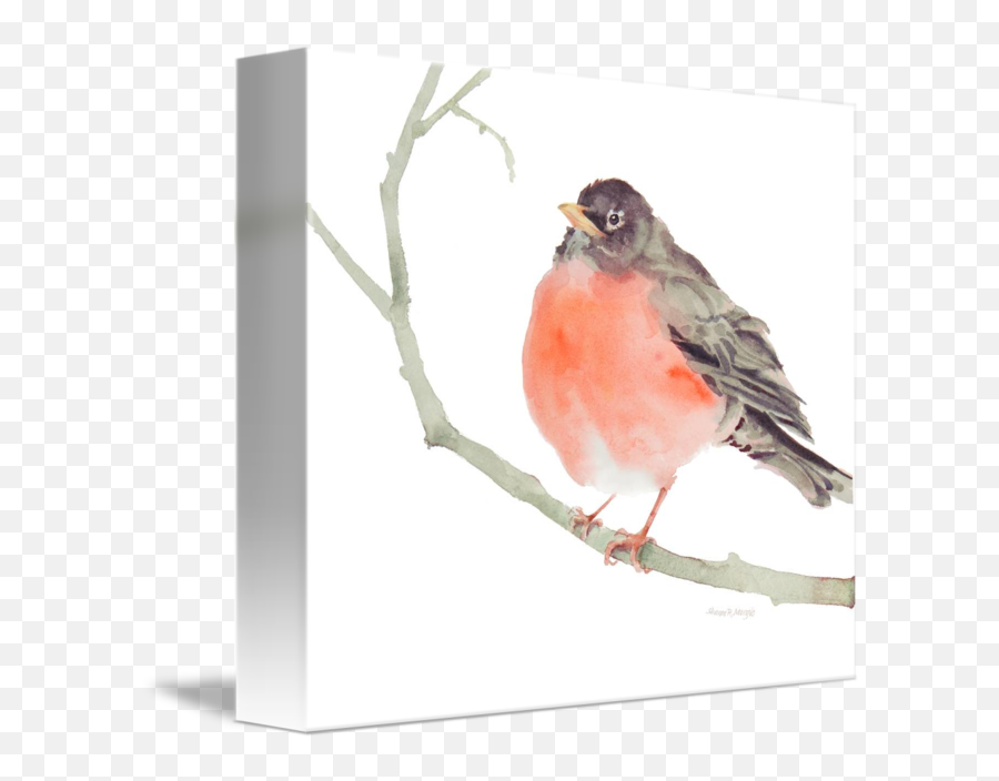 Fat Robin - Twig Emoji,Human Emotion Robins