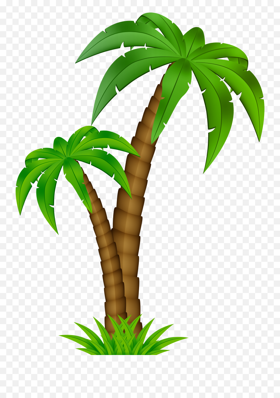 Palm Tree Cartoon Png Clipart - Cartoon Transparent Background Palm Tree Emoji,What Do Three Palm Tree Emojis