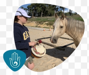 Holistic Equitation - Jo Sheval Equestrian Sound Healing Horse Supplies Emoji,Horses Emotion Illustration